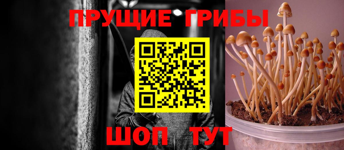 Галлюциногенные грибы Cubensis  Вход с VPN  Дзержинск 