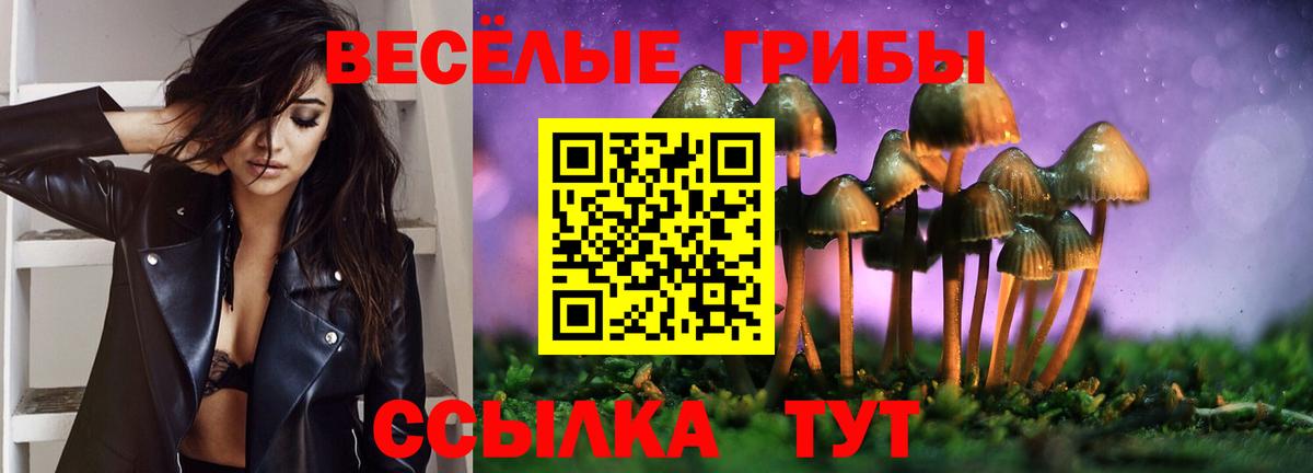 Псилоцибиновые грибы мухоморы Дзержинск